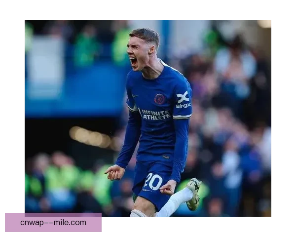 切尔西完成帕尔默签约迎新赛季中场补强计划